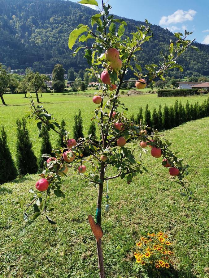 Apartment - Ferienwohnung 2 Treffen Am Ossiachersee Eksteriør billede